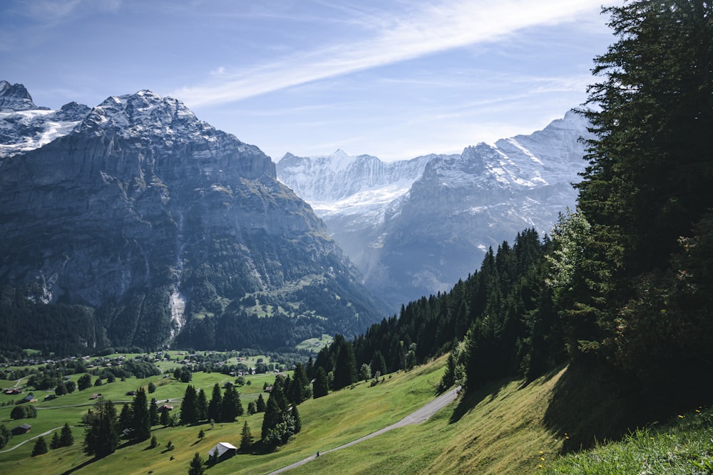 a valley between mountains with trees