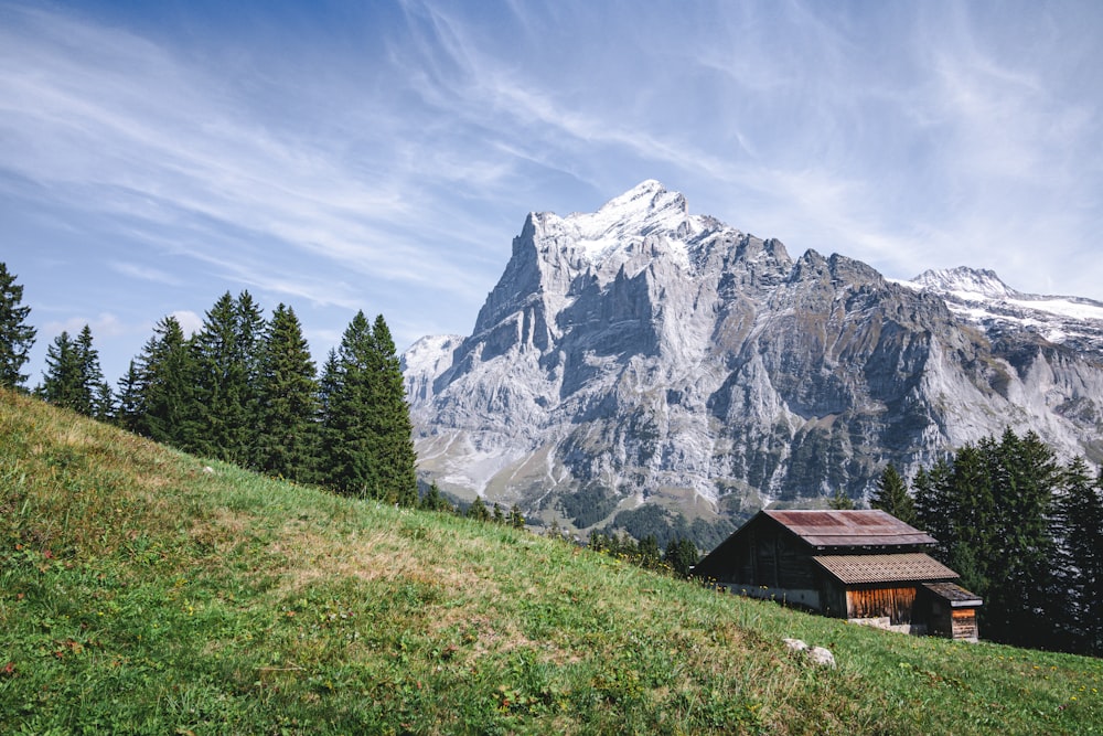 a small house on a grassy hill with a snowy mountain in the background