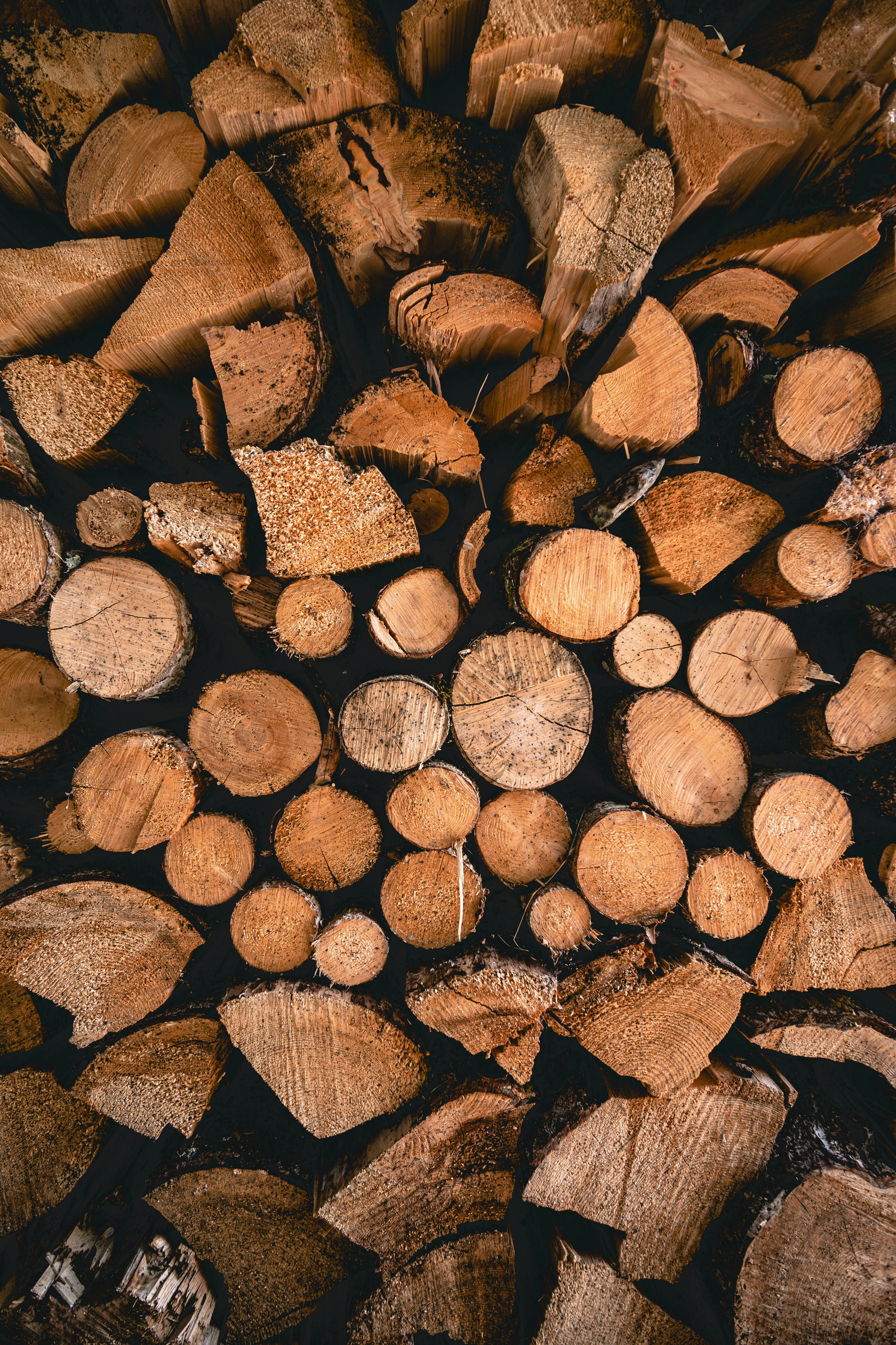 Divers traitements pour le bois