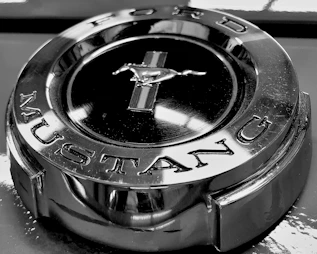 A metallic emblem featuring the word 'Mustang' encircling a detailed image of a running horse symbol. The emblem is circular and shiny, reflecting light in various areas. The design is bold and represents a classic automotive brand.