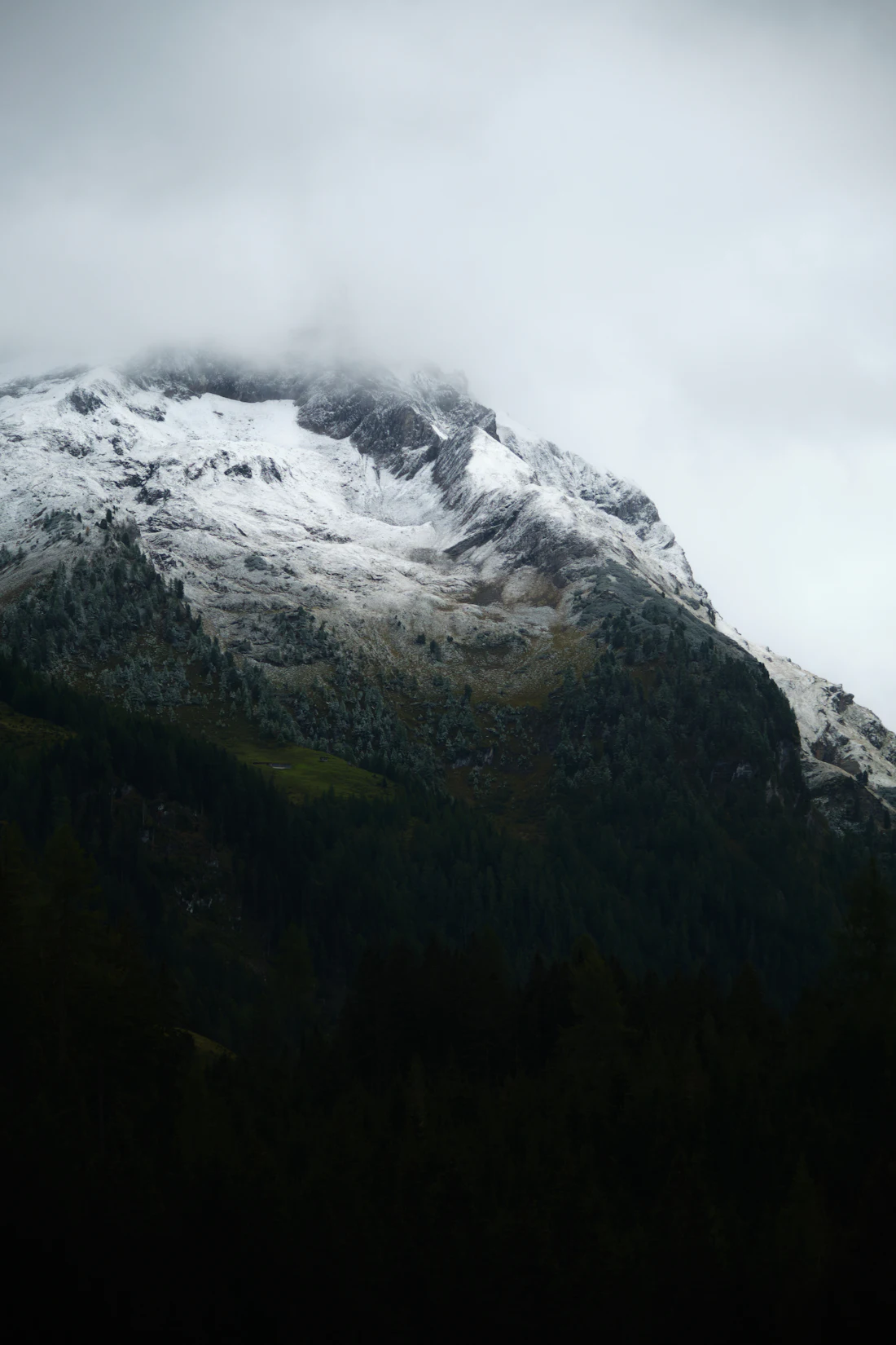 Besneeuwde berg met naaldbos bij Gerlos