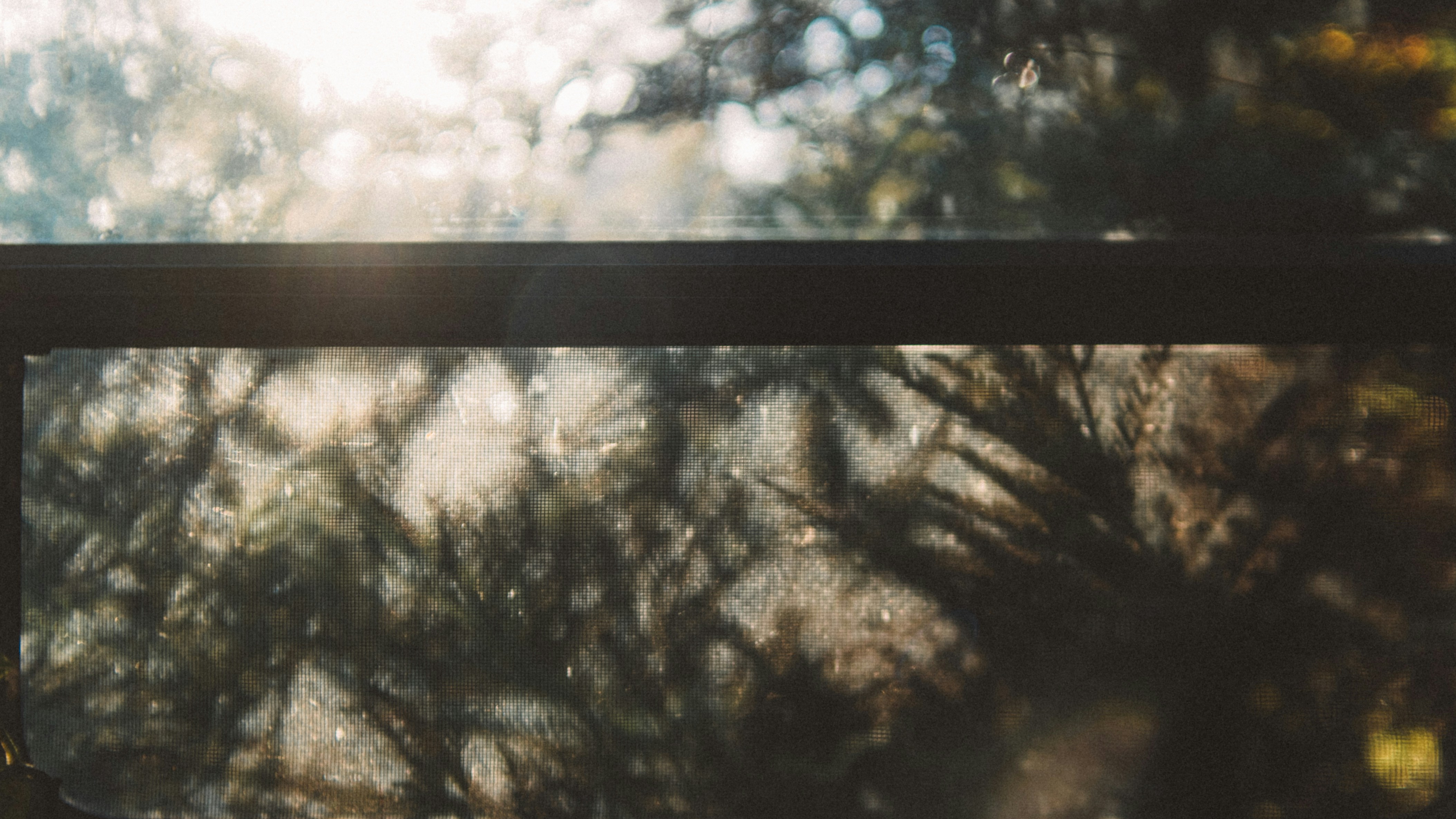 Photo by marsupialpudding