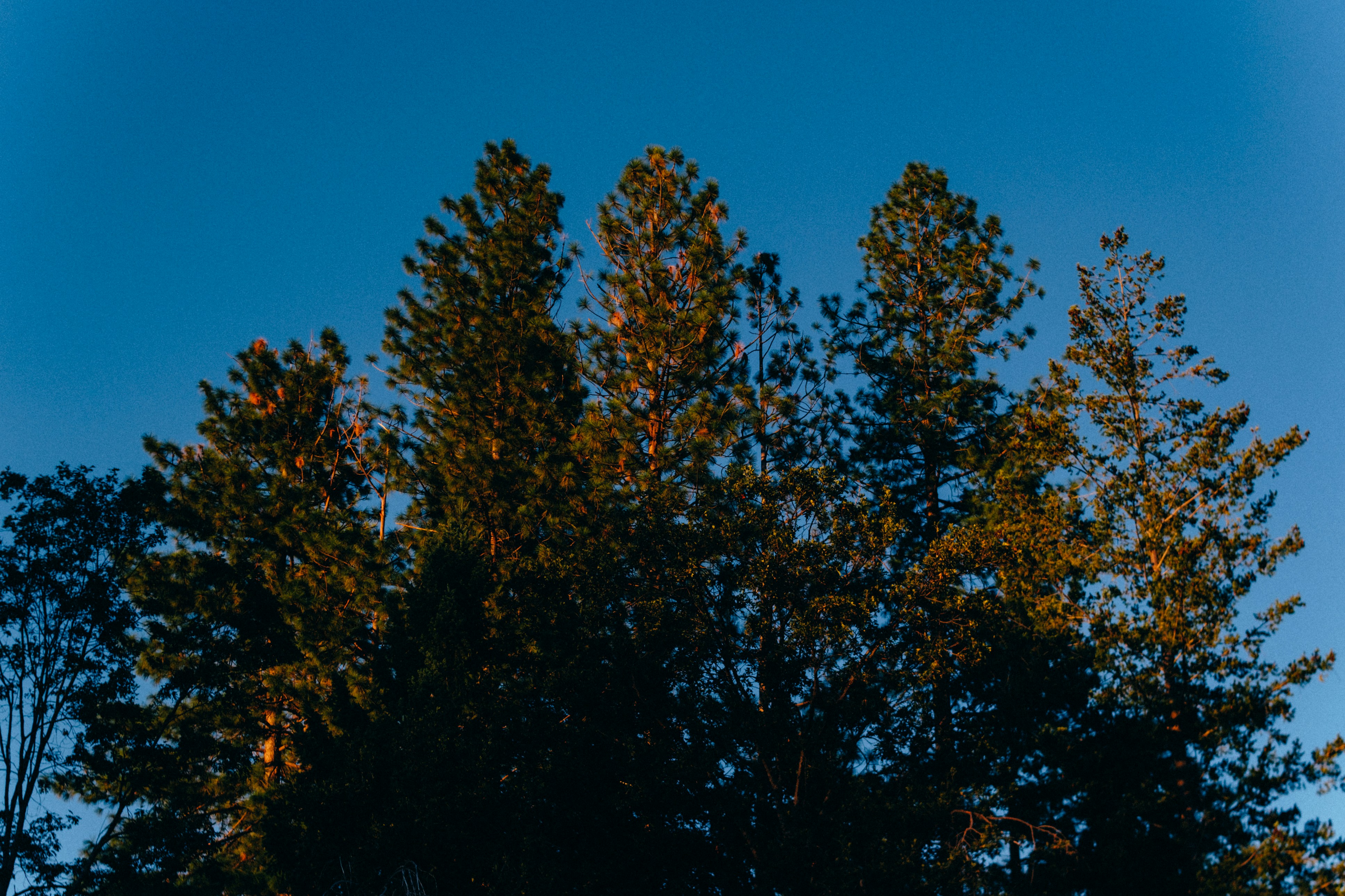 Photo by marsupialpudding