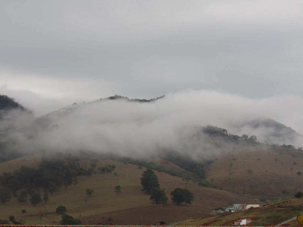 a landscape with trees and fog