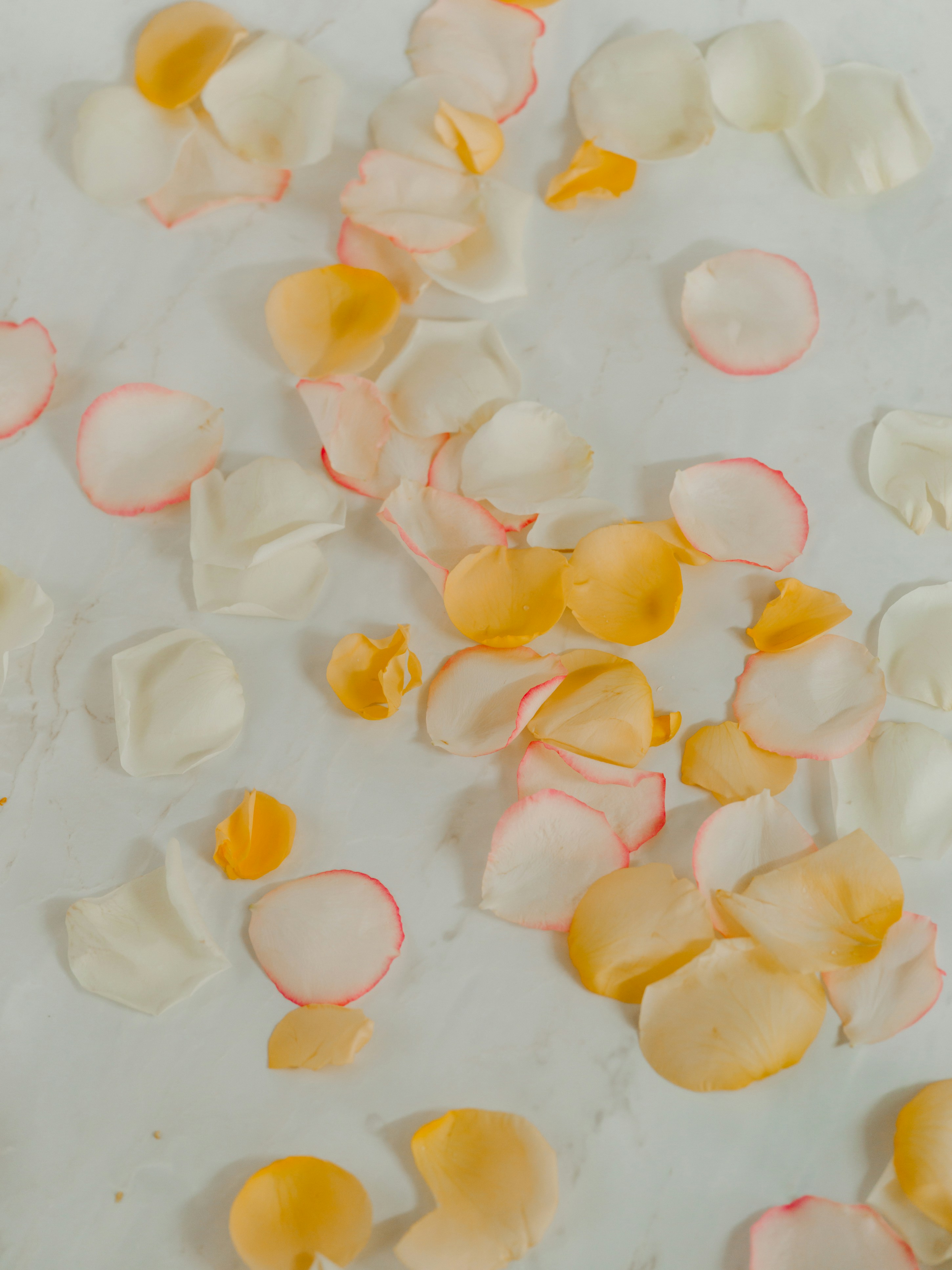 Photo by kierinsightarchives