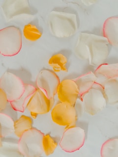 Hand-harvested rose petals scattered gently on a blend of ivory and marble surfaces