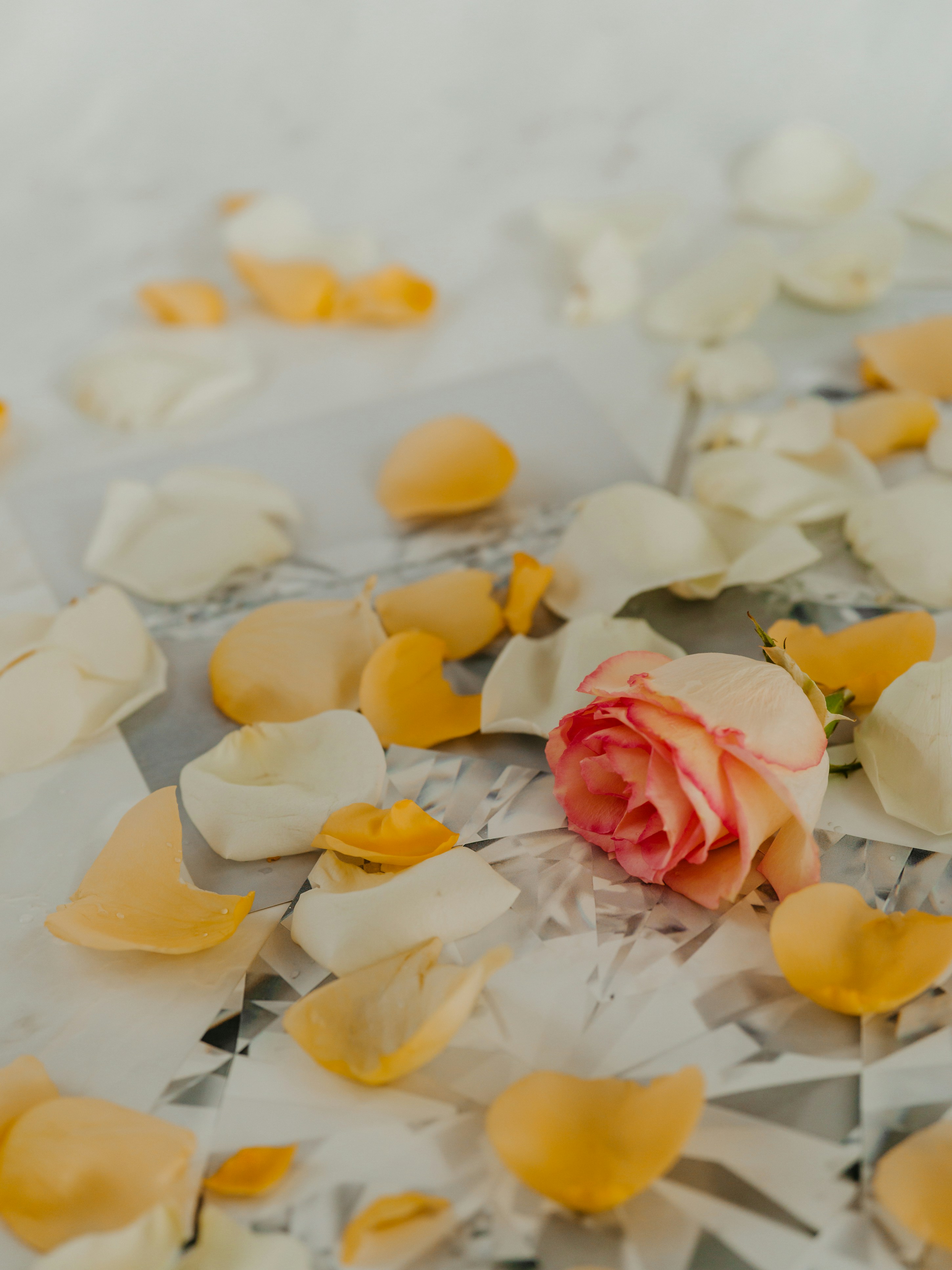 Photo by kierinsightarchives