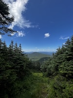 A stunning mountain landscape with lush greenery.