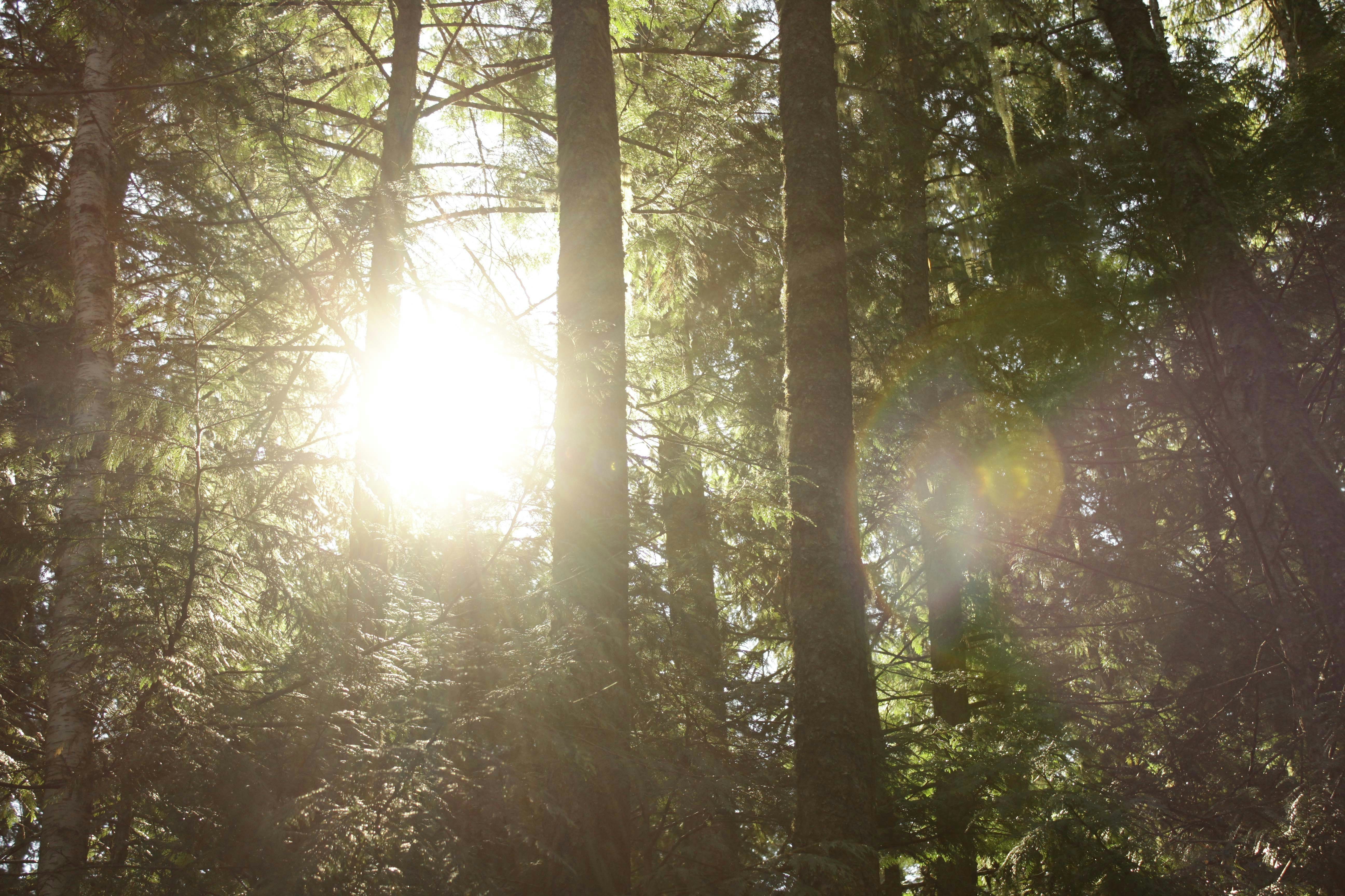 Photo by dcanadianphotographer