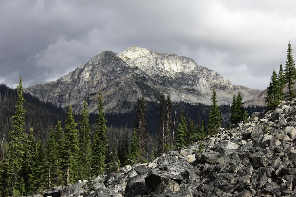 a rocky mountain with trees and a snow covered mountain in the background