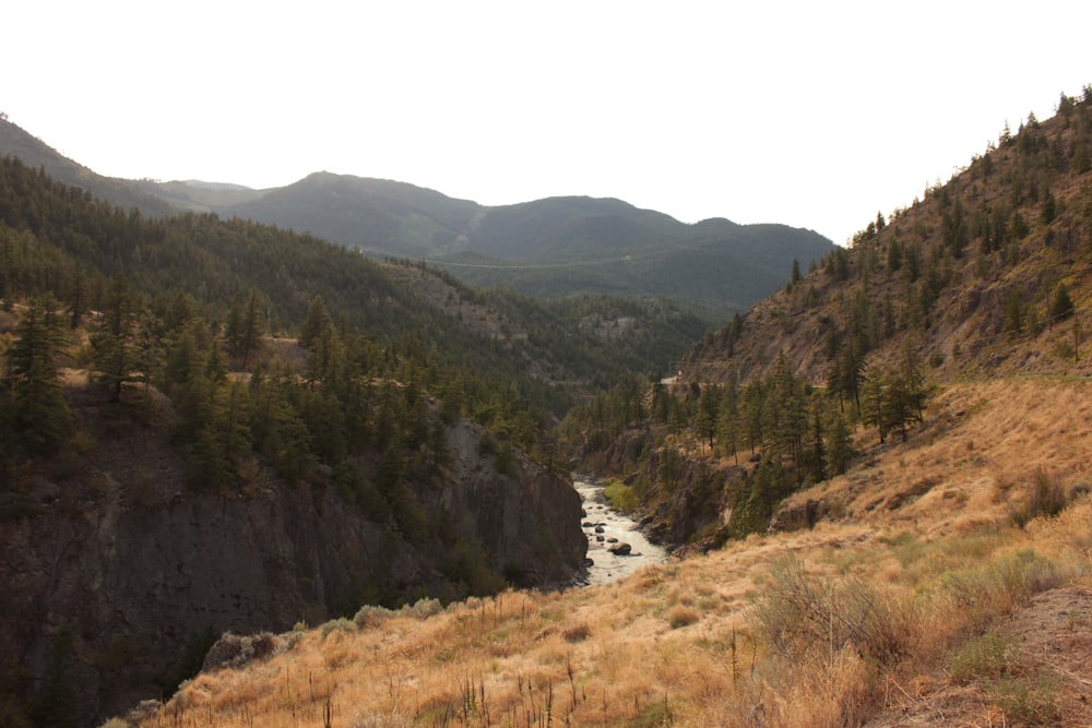 a river running through a valley