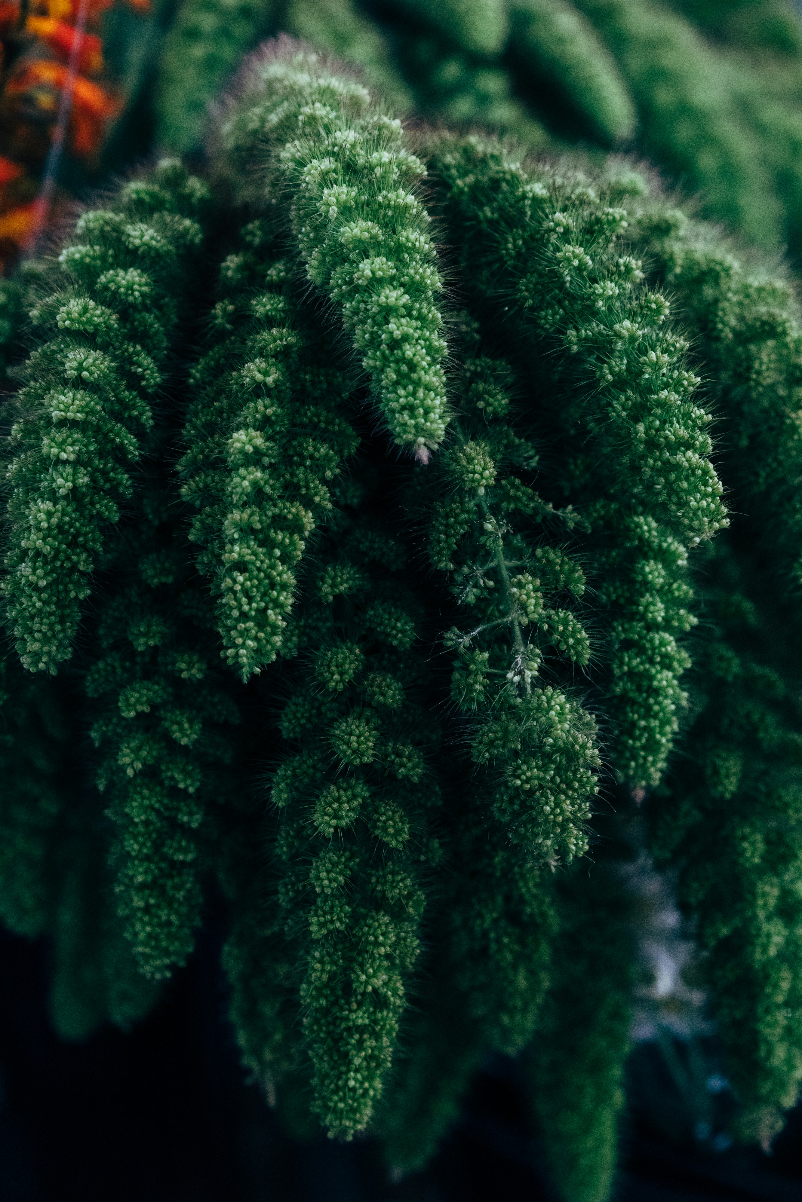 Photo by markuswinkler