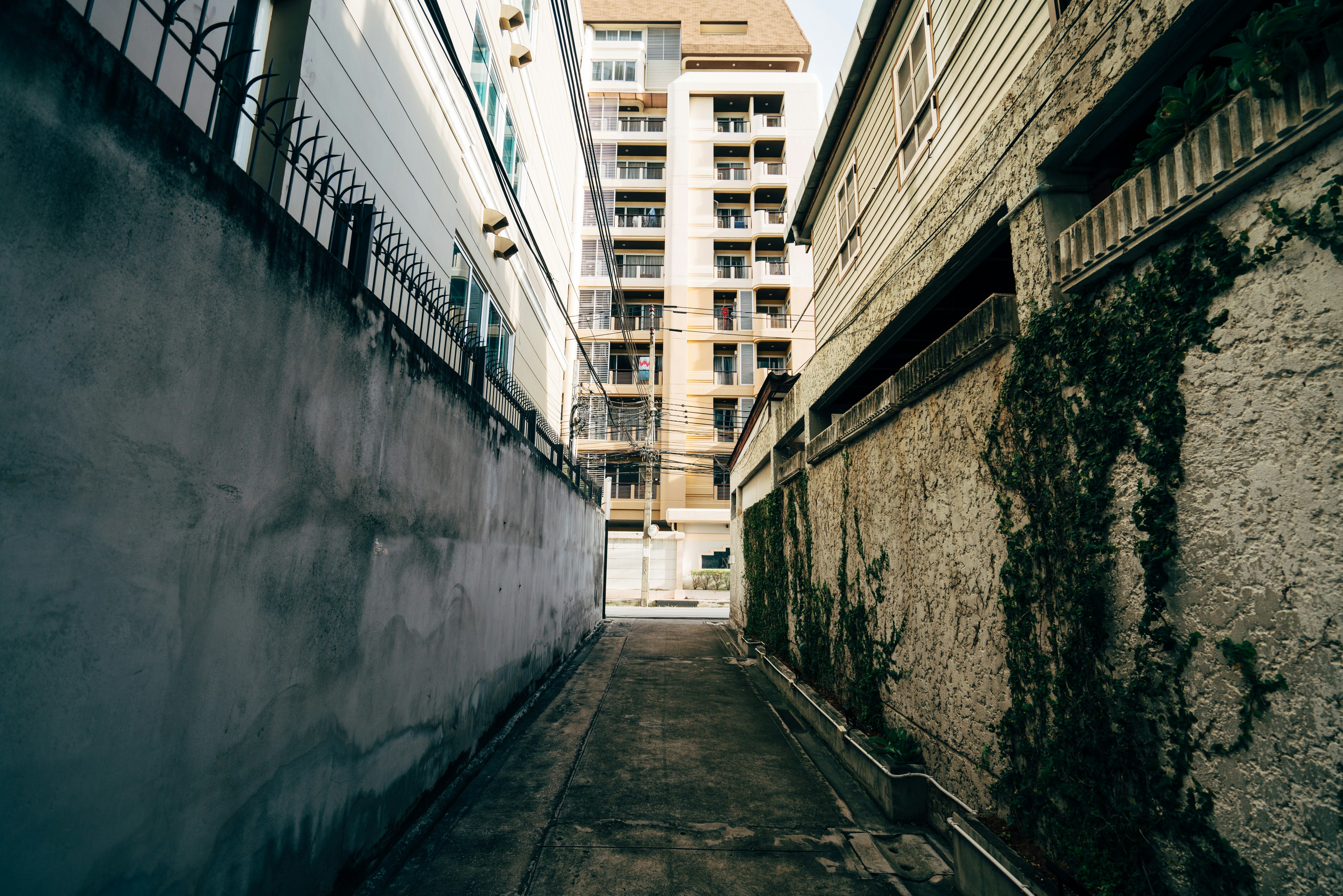 Photo by markuswinkler