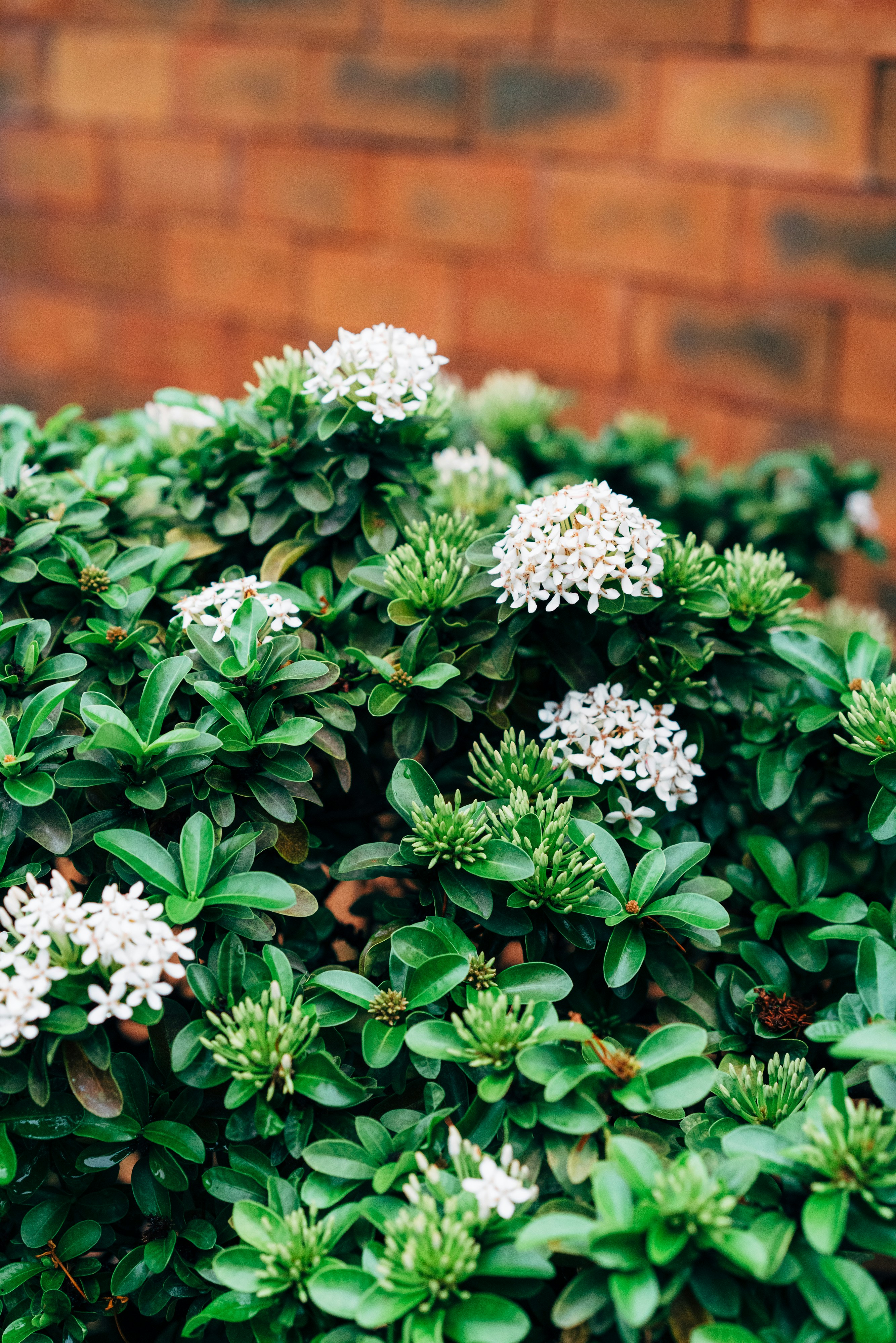 Photo by markuswinkler