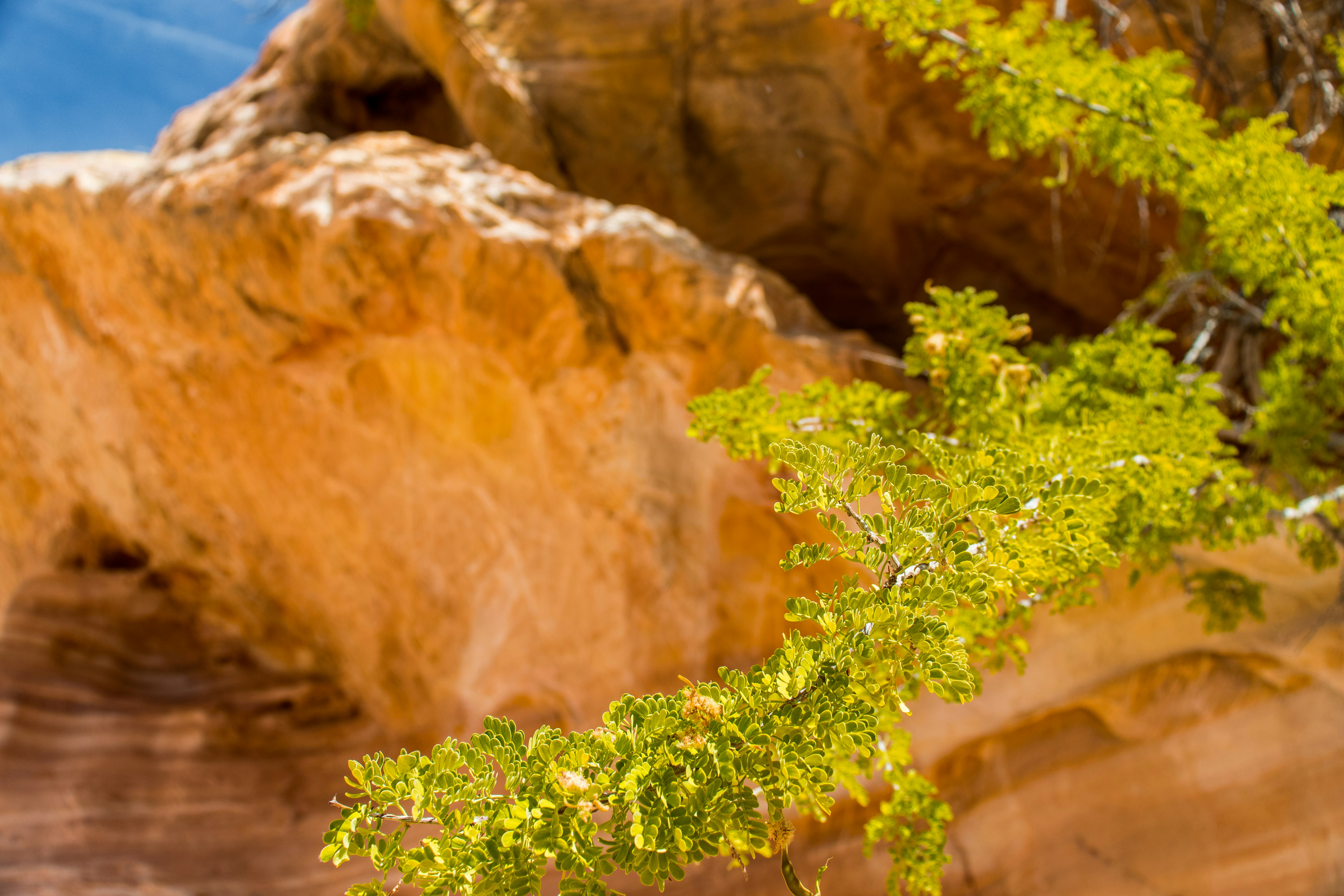 Photo by brice_cooper18