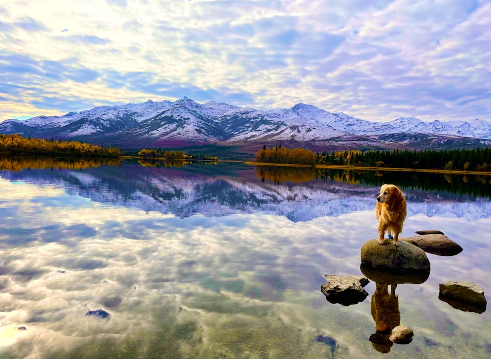 a body of water with rocks and mountains in the background