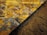 A close-up view of a textured surface showing wet, square tiles with a mix of yellow, orange, brown, and gray patterns. Adjacent to the tiles is a section of loose granular material, possibly sand or soil, partially covering the base of the tiles.