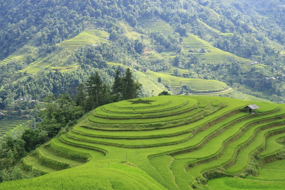 uma paisagem montanhosa verde