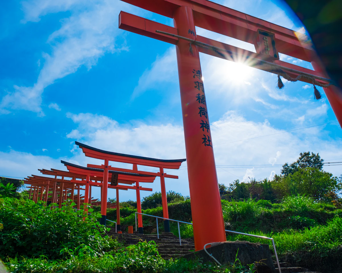 Moss-covered shrine path in Japanese forest