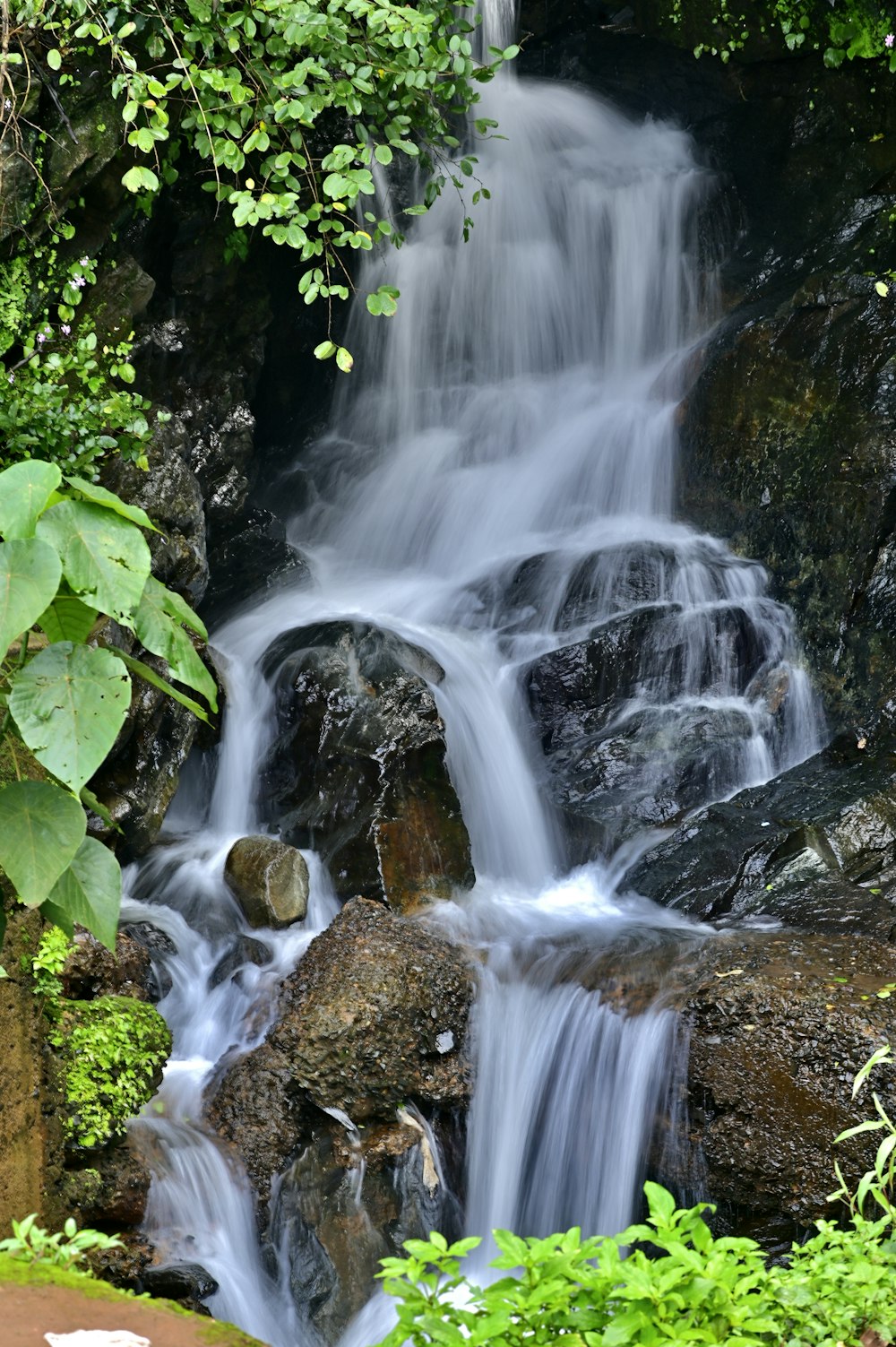 a waterfall with green plants