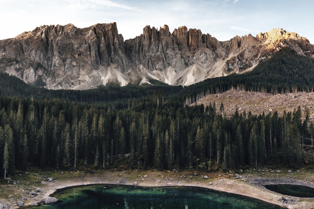 a mountain with trees and a body of water below