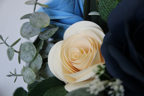 A close-up of a floral arrangement featuring creamy white and dark blue roses along with green eucalyptus leaves. The intricate layers of the rose petals are displayed beautifully, accompanied by the textured leaves and delicate small white flowers.
