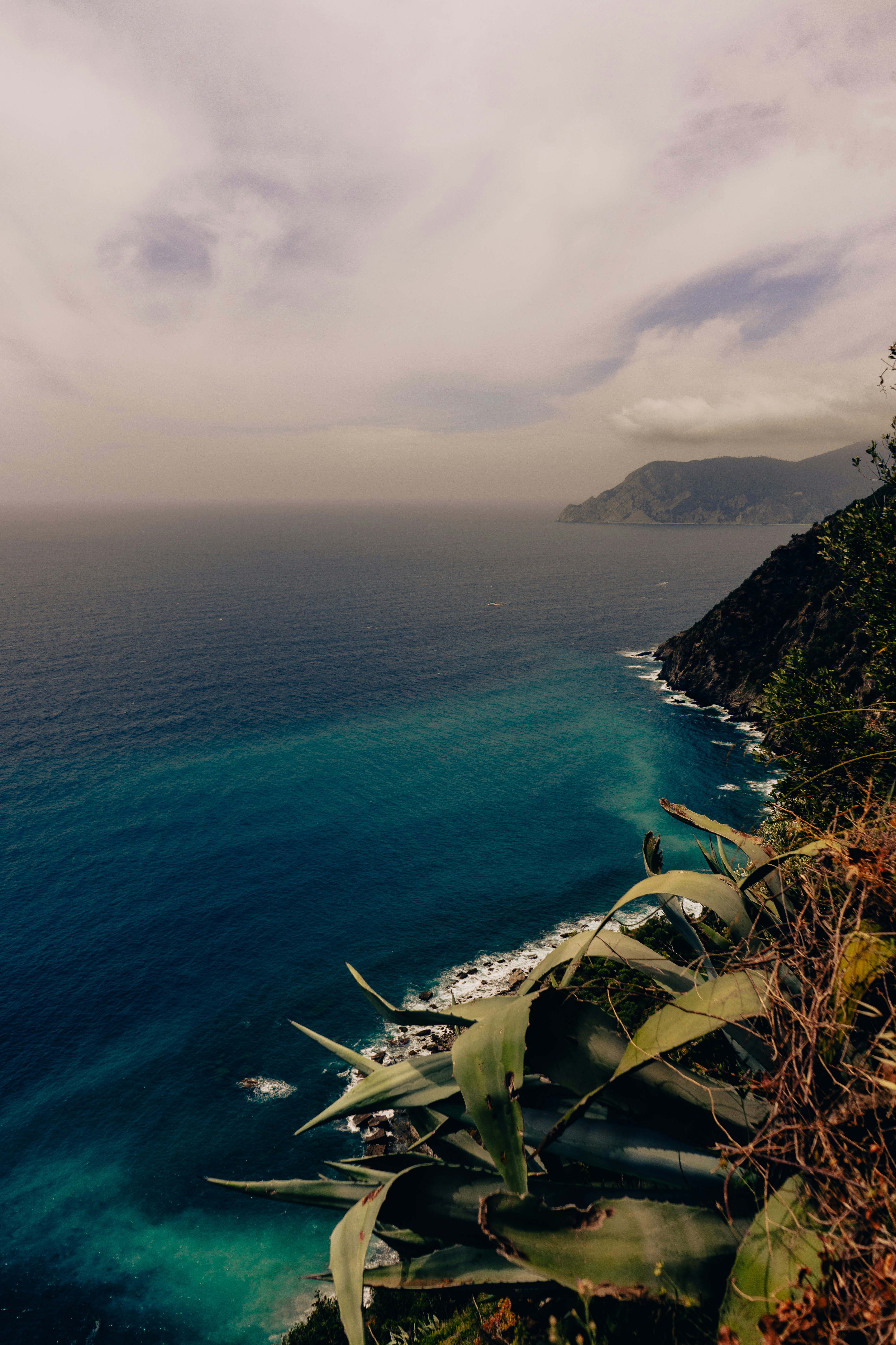 Photo by virussinside