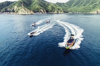 a group of boats on the water