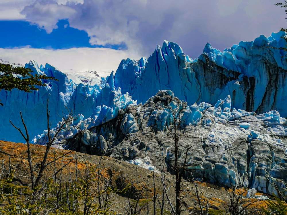 a rocky mountain with trees