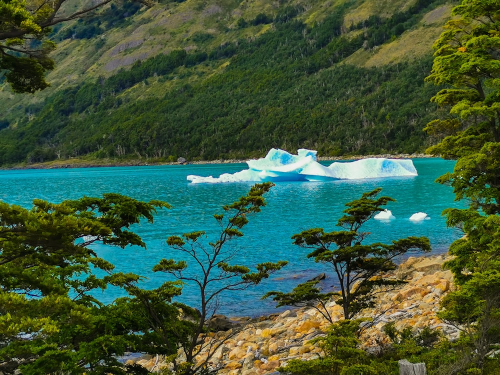 a body of water with trees and a mountain in the background