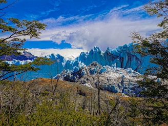 a mountain range with trees