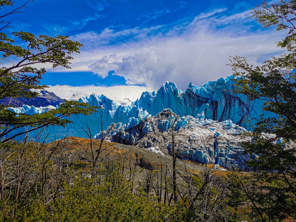 a mountain range with trees