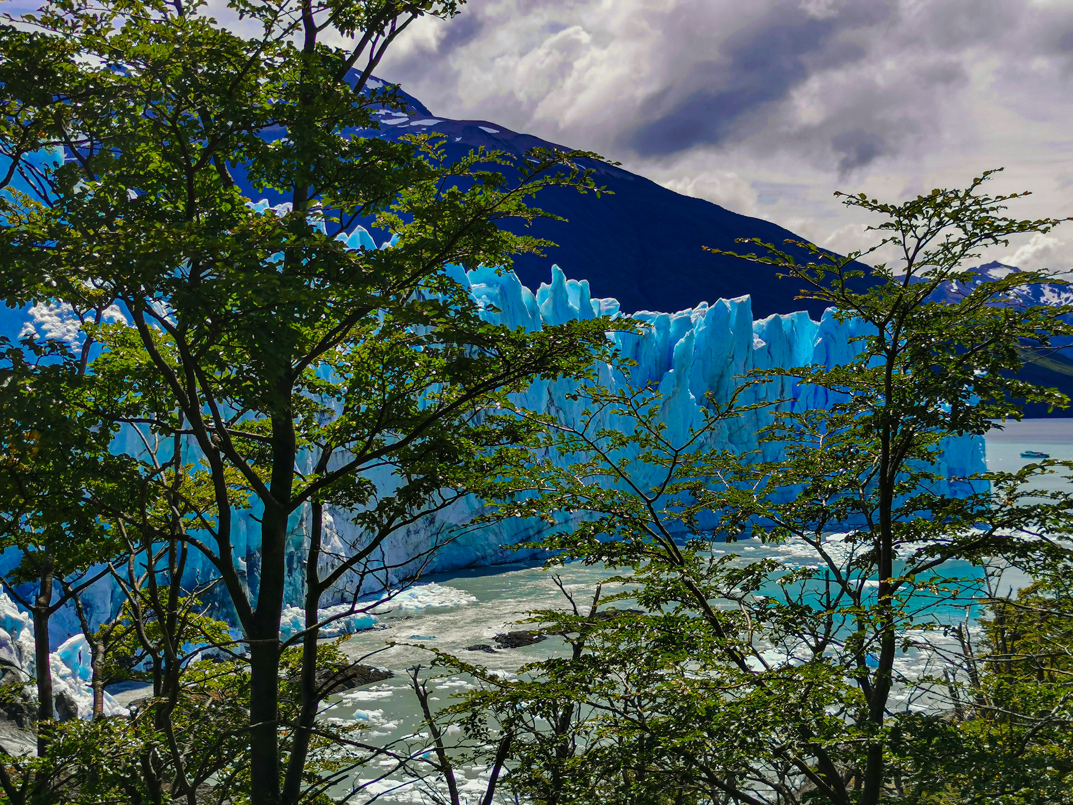 a mountain with trees and a body of water below