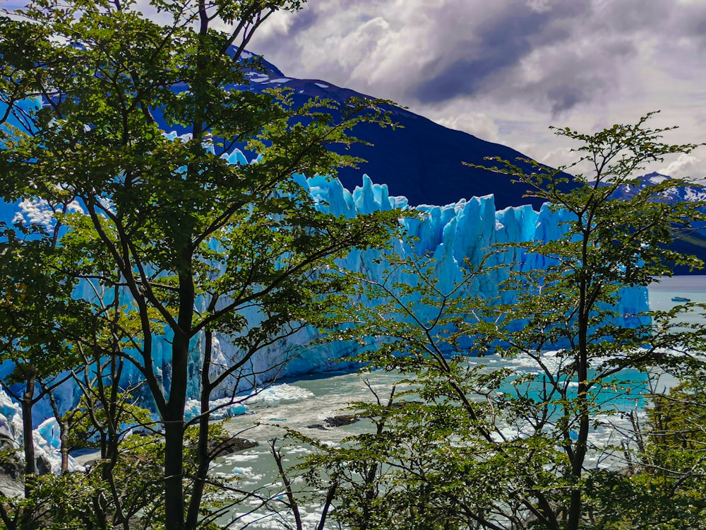 a mountain with trees and a body of water below