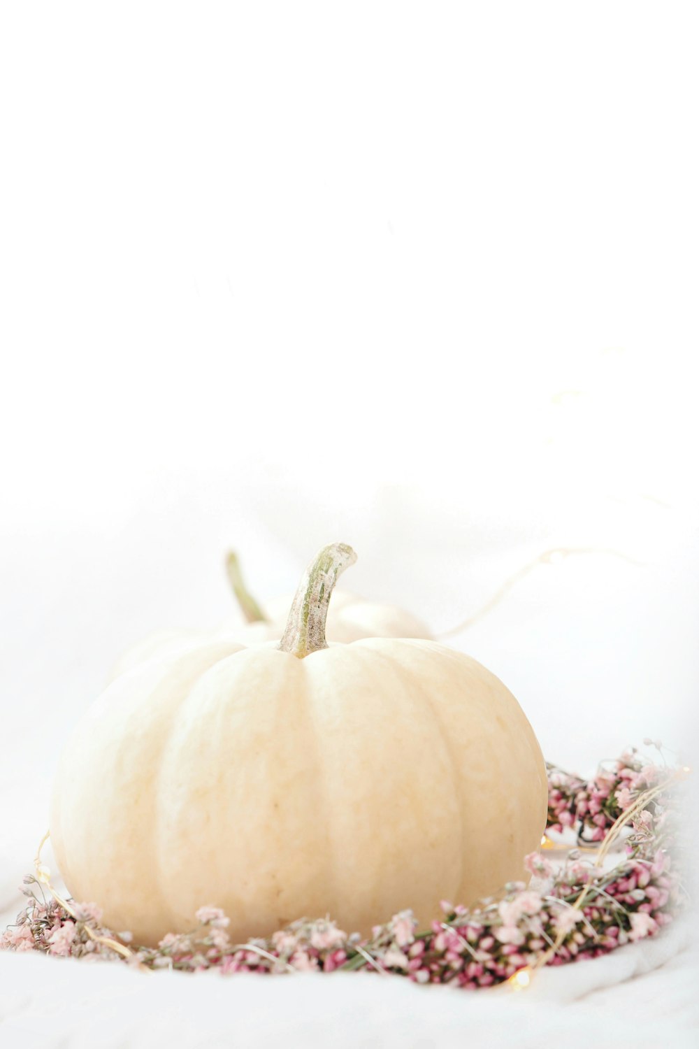 a white apple with seeds