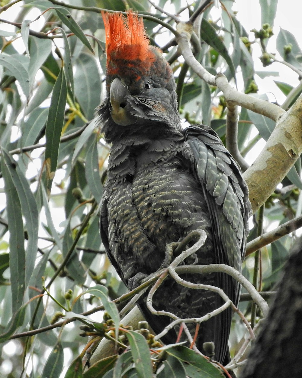 a bird sitting on a tree branch