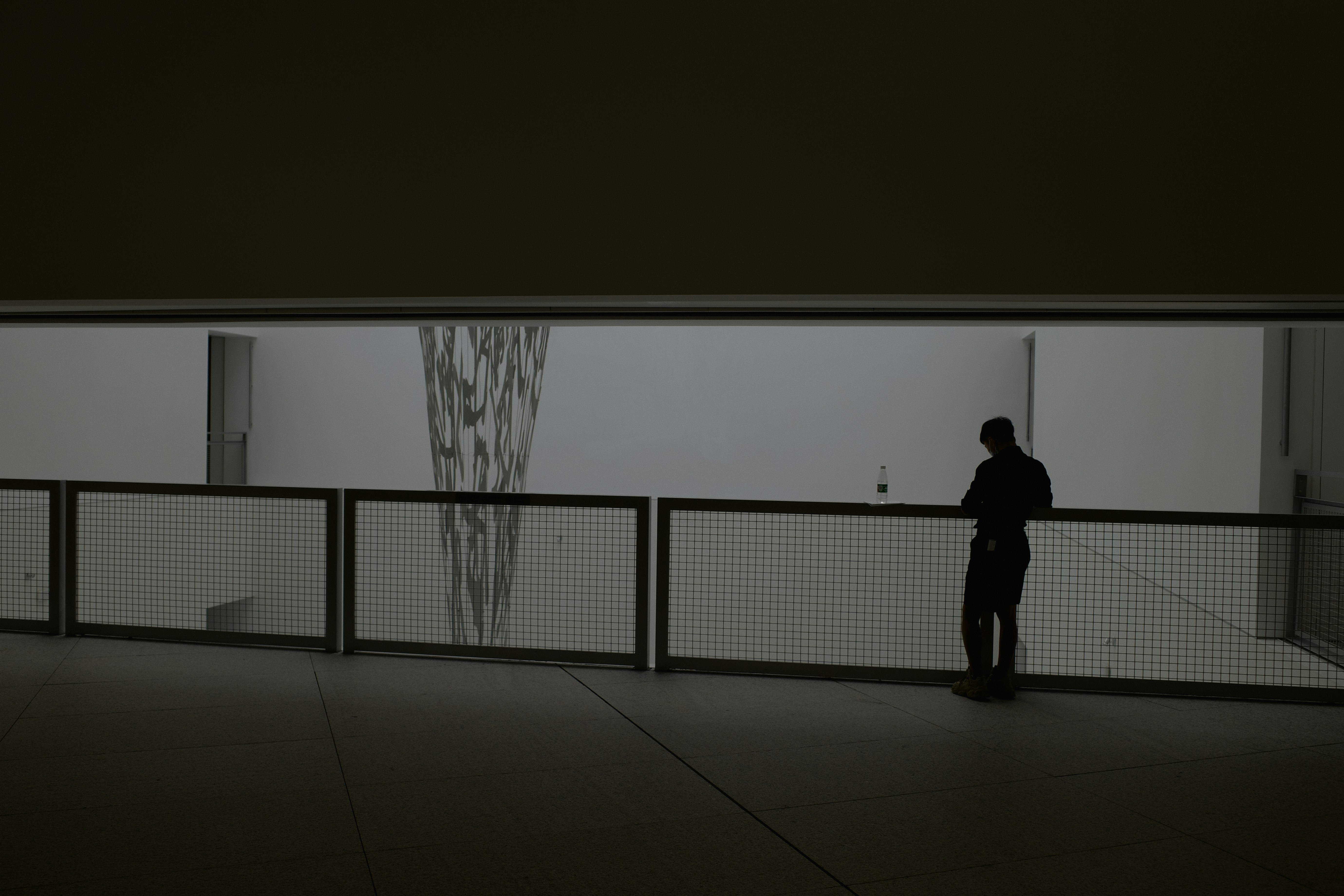 Photo by geraltyichen