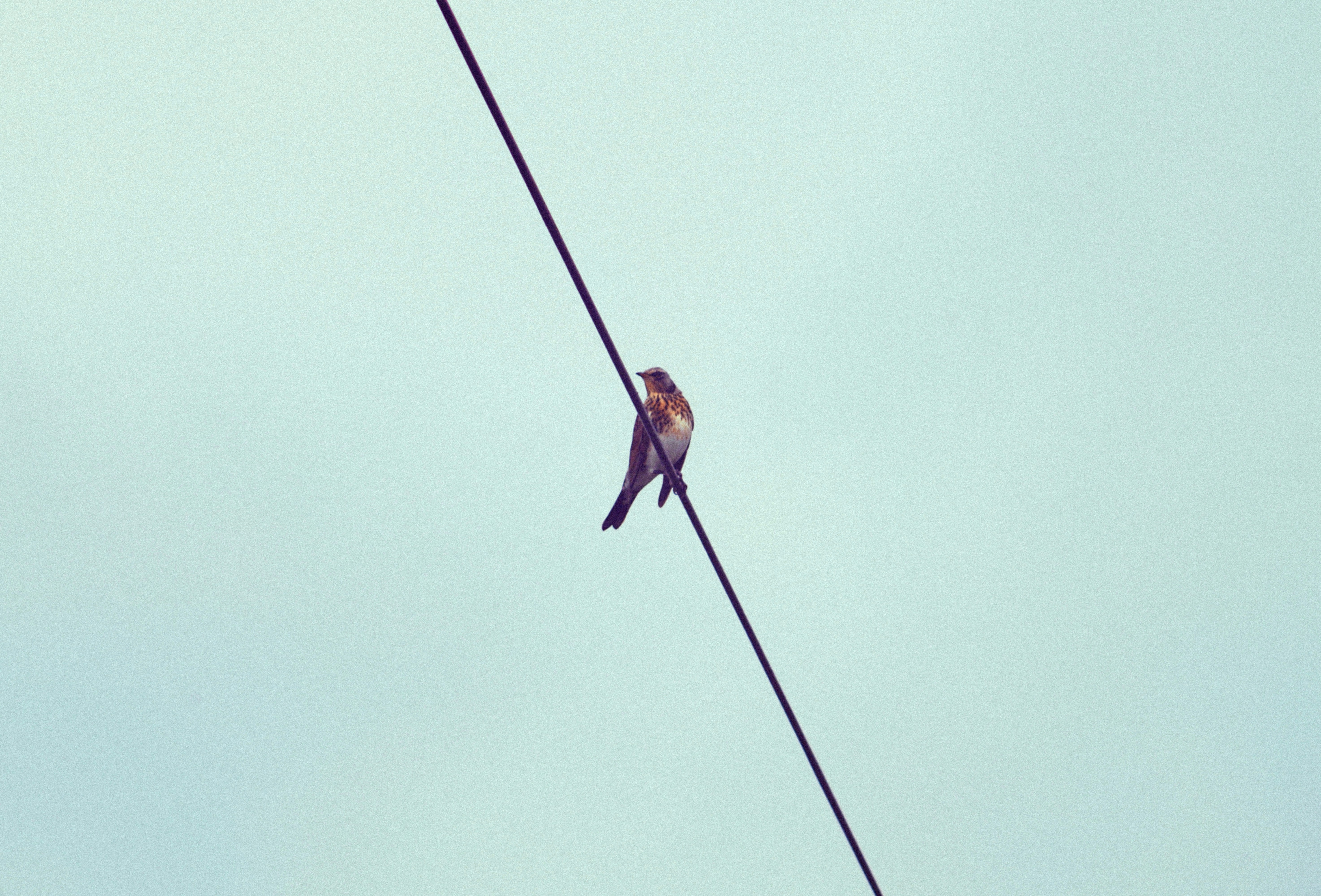 Photo by shklyaevmax