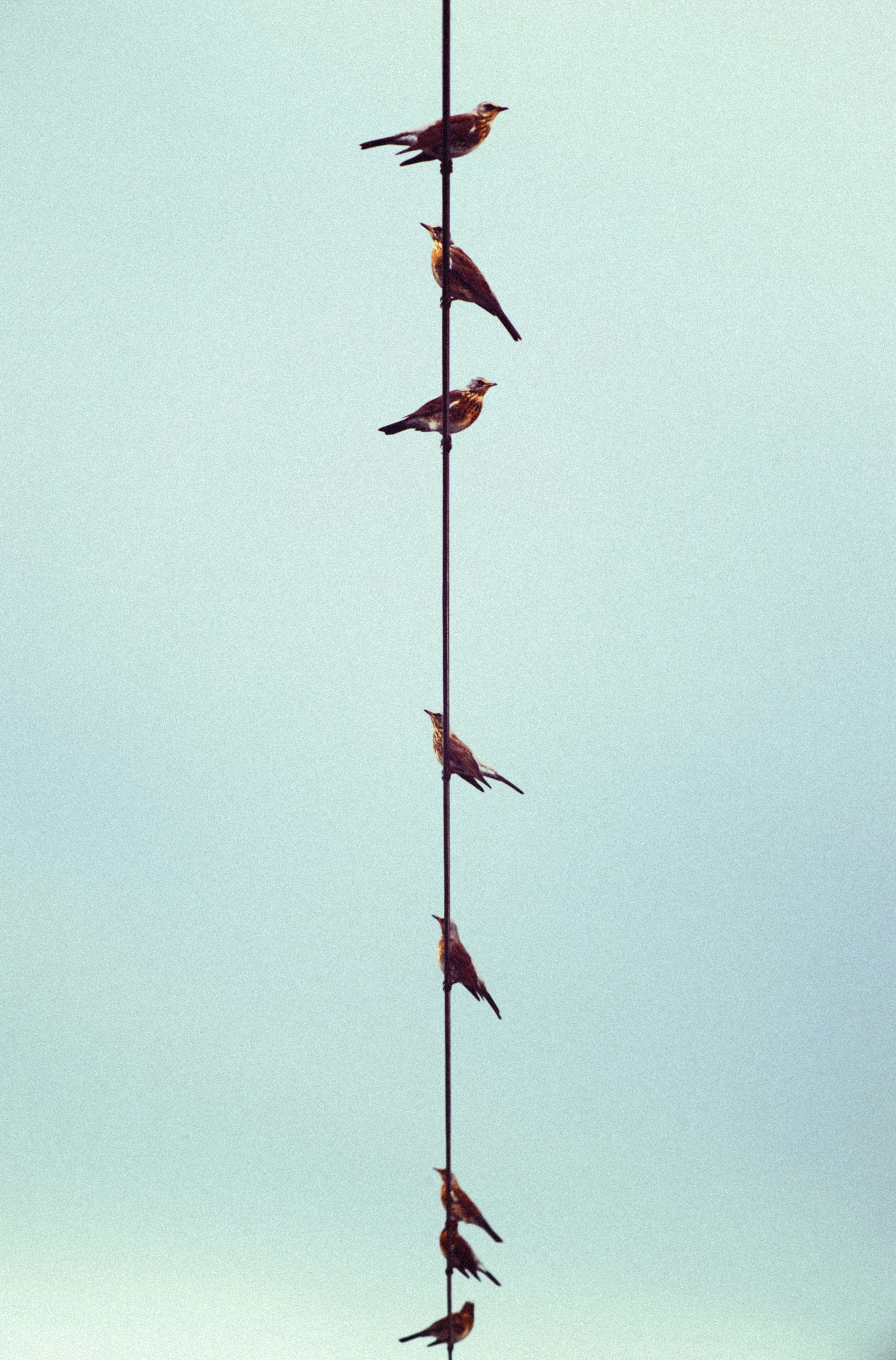 a group of people from a rope