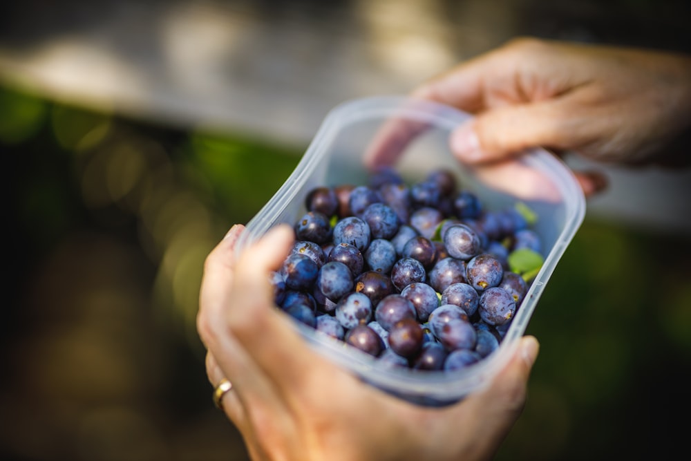 hands holding a bowl of blueberries