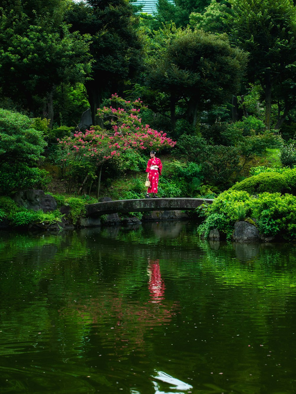 a person standing on a rock in a pond with trees and plants