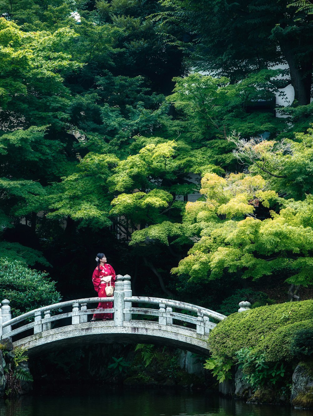 a person standing on a bridge over a river surrounded by trees