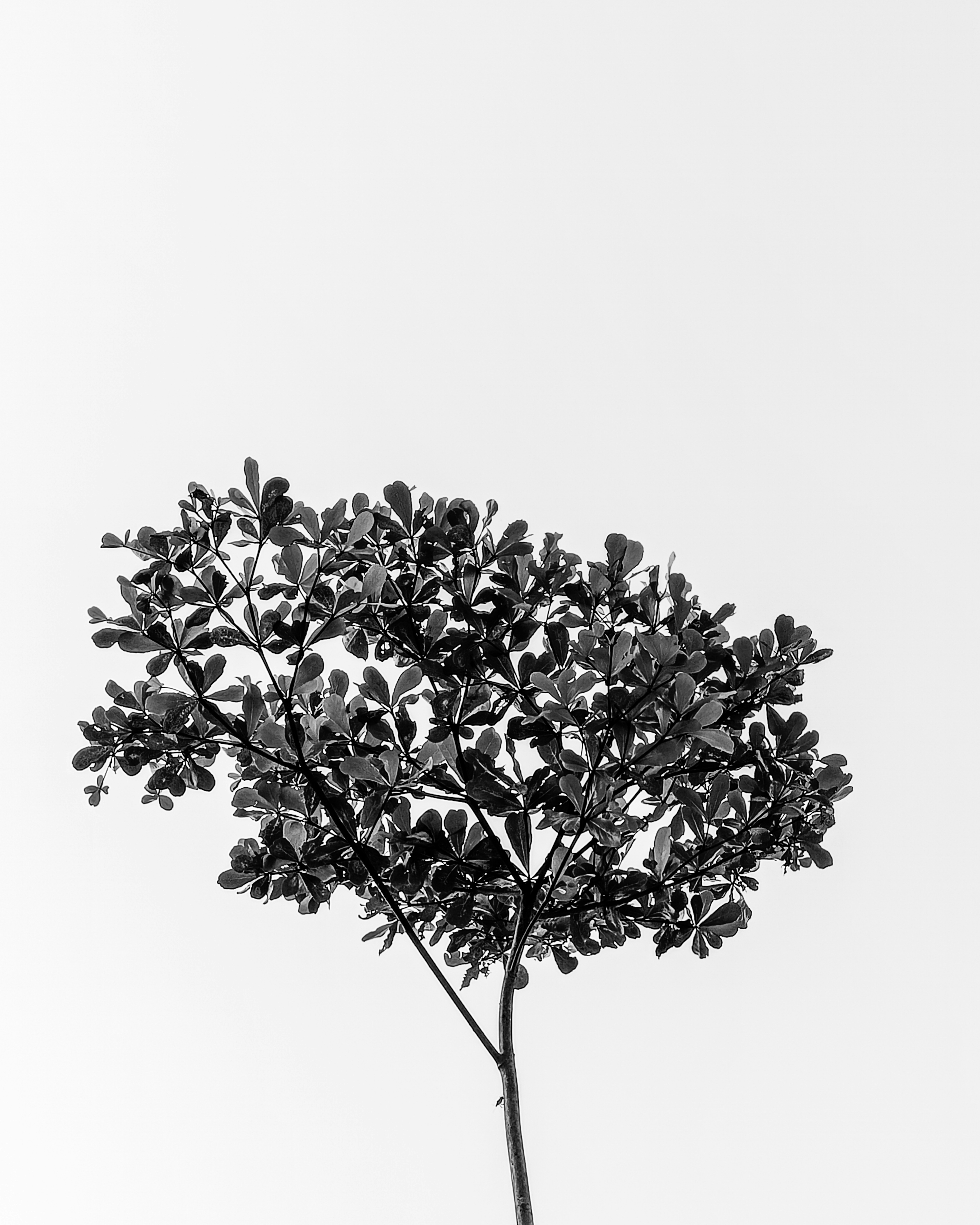 Photo by lzphotography_1