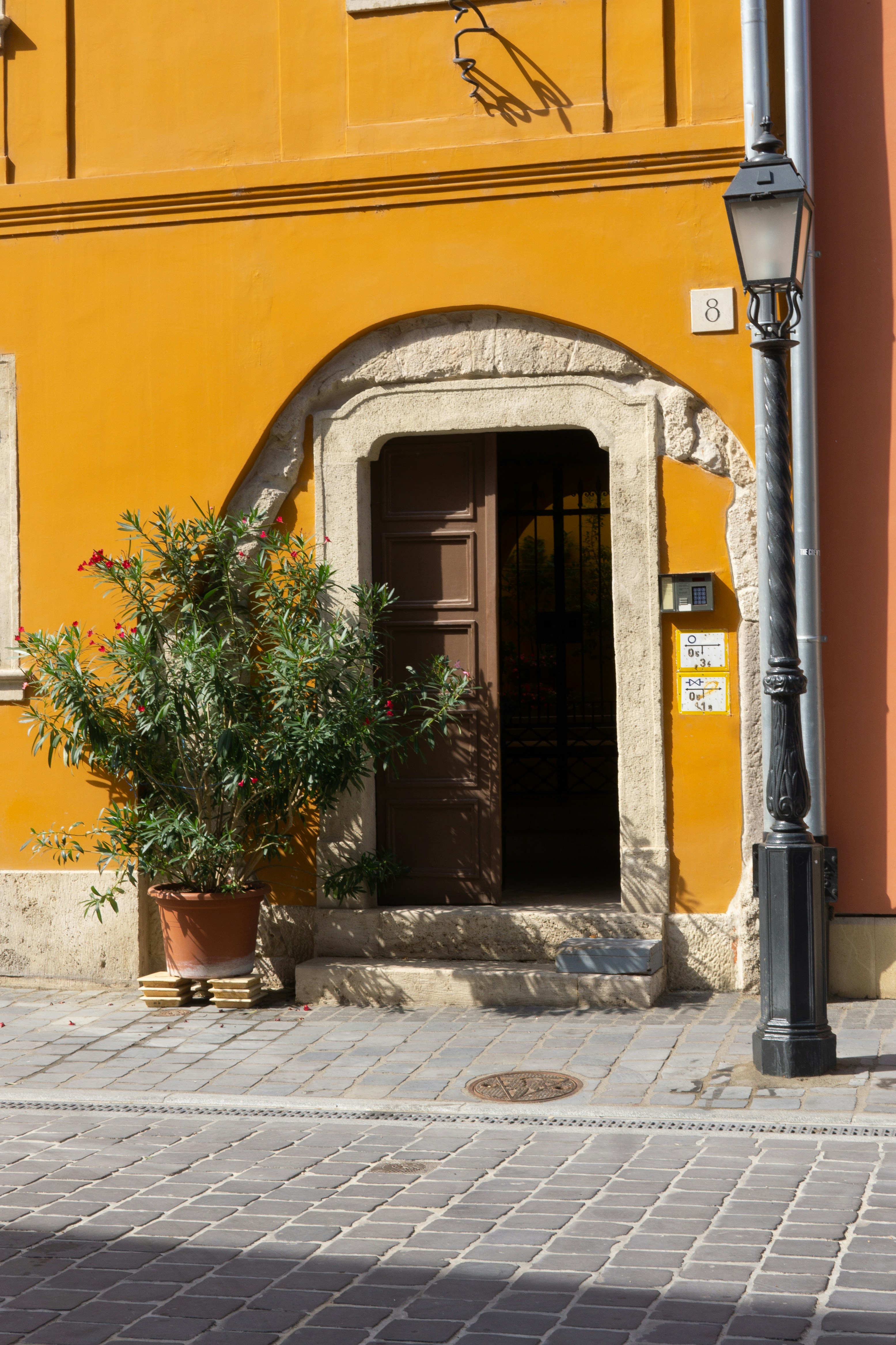 Photo by serenaclerio