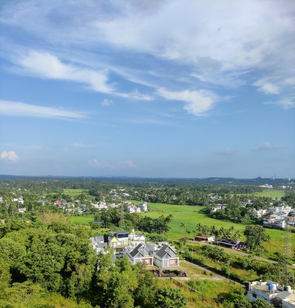 a town with trees and houses