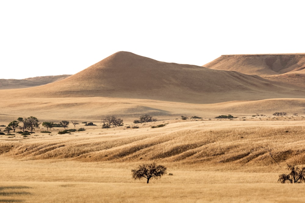 a landscape with hills in the back