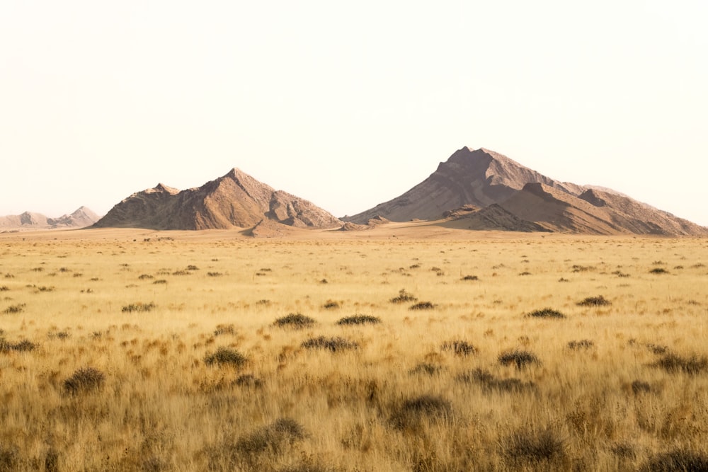 a desert landscape with hills