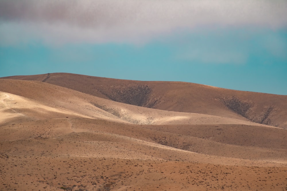 a sandy desert landscape