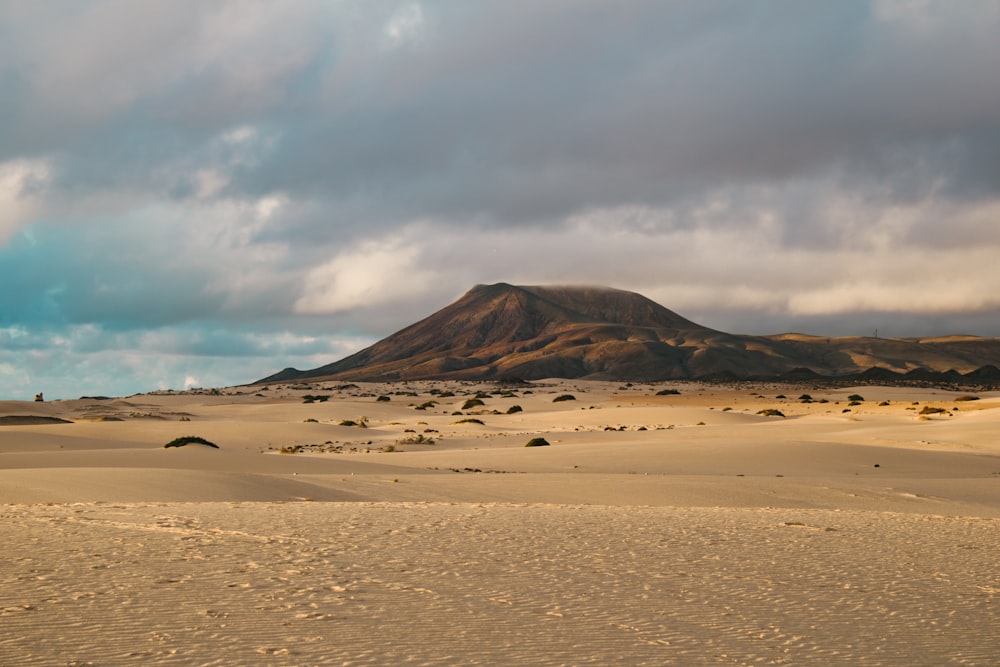 a desert landscape with a mountain in the distance