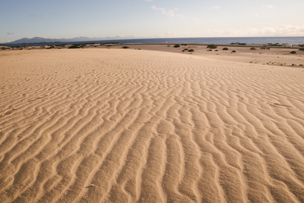 a large desert landscape